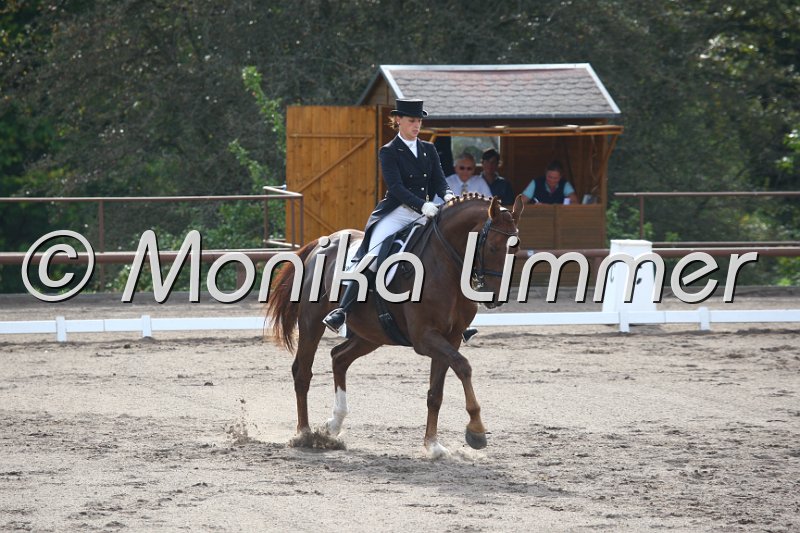 009M5737_Ruby_Dressur S Inter I.JPG